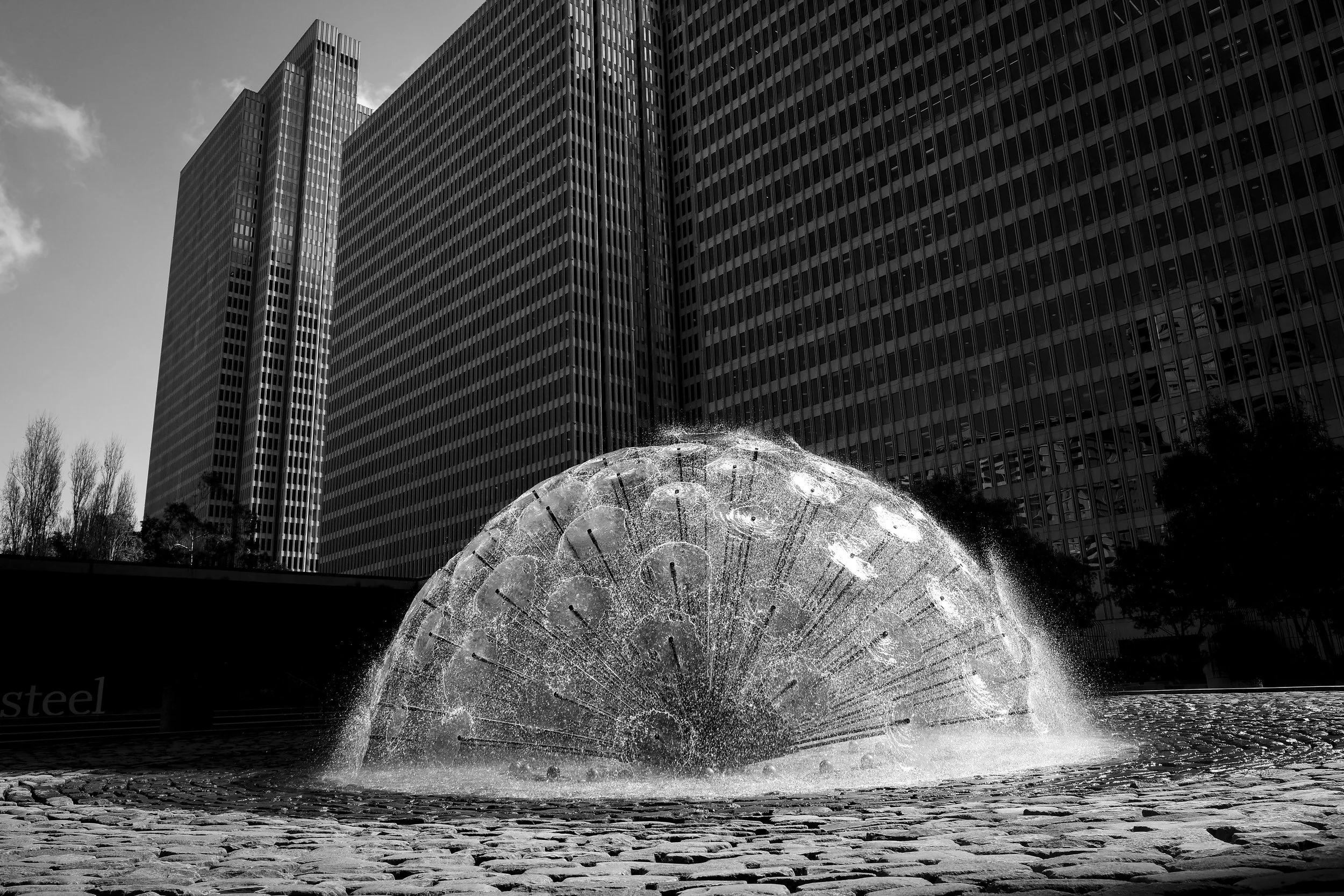 2018-03-08 12.51.02_1.jpg