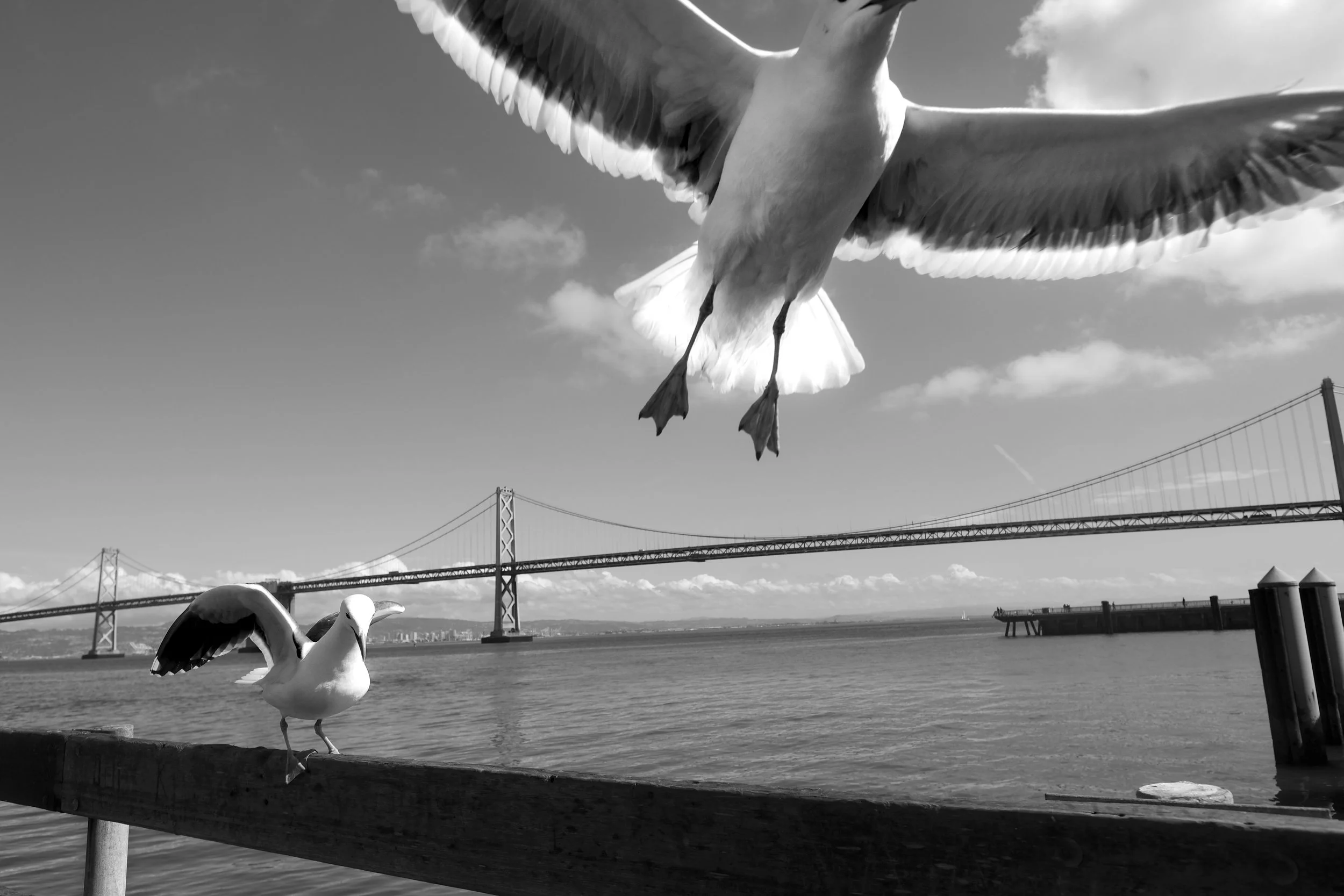 2018-03-08 13.13.49.jpg