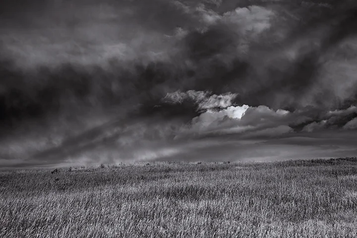 Cloud Study LR.jpg