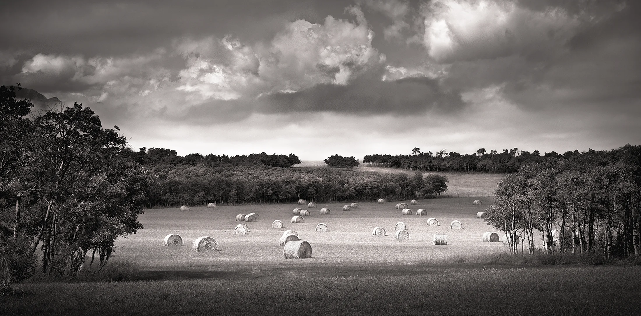 Making Hay LR.jpg