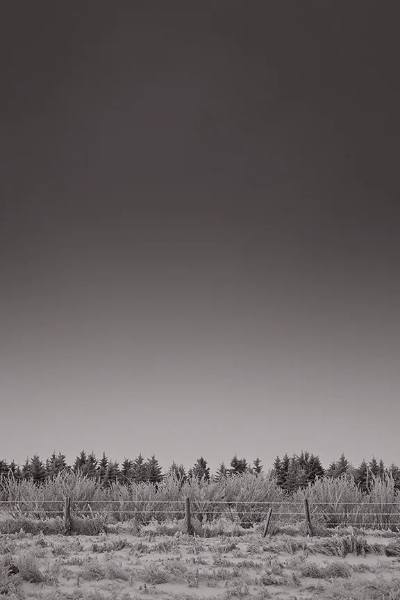 Frost-56 copy.jpg