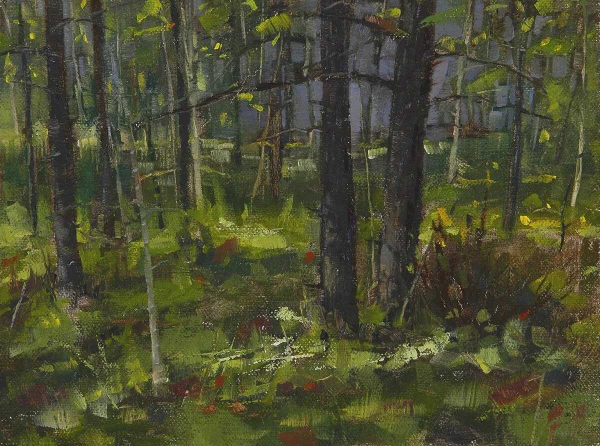 Behind Campsite #36 - Gooseberry