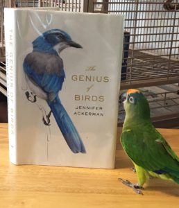 Somebirdy is abeak that HE is not on the cover.