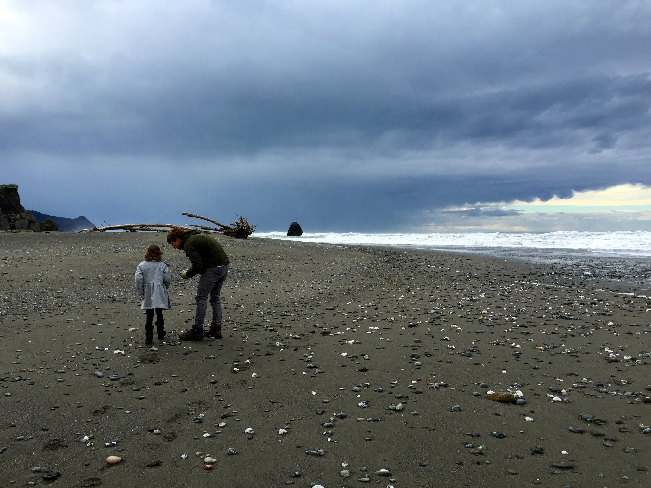 In Oregon you collect rocks by the seashores, not shells, sorry Sally.
