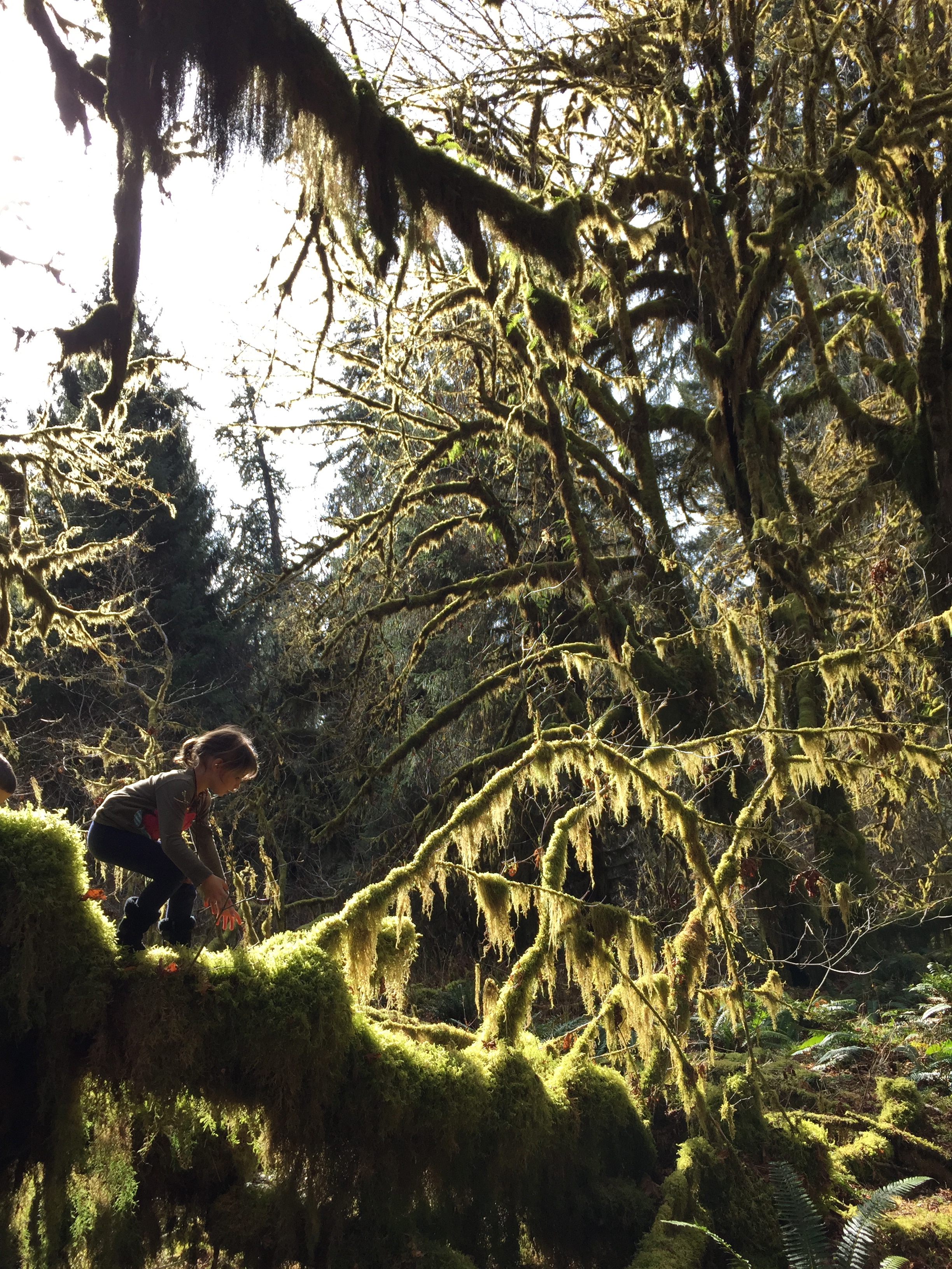 Georgi met a little campground friend, Spencer, and they were inseparable. No tree could be passed unclimbed.
