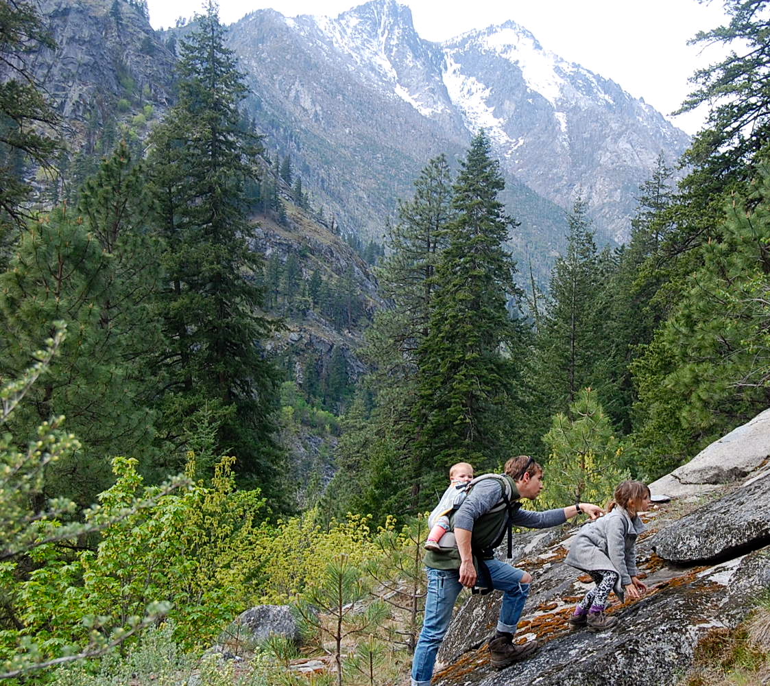 Looking for the marmot