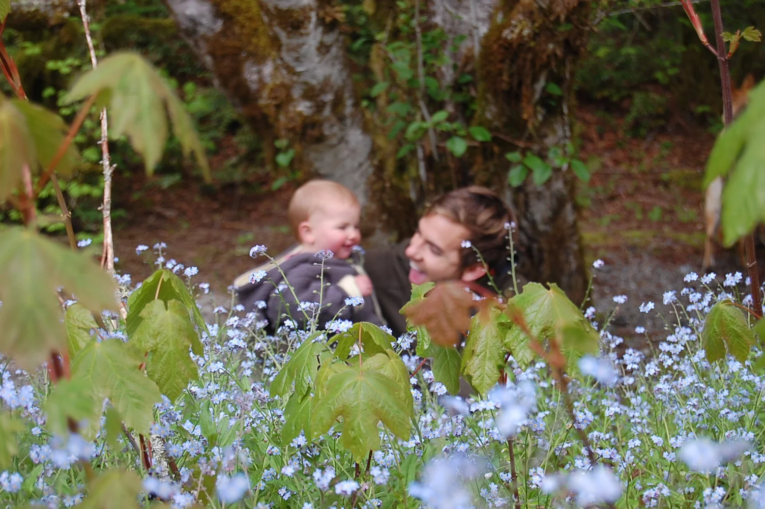 and of course some forget-me-nots