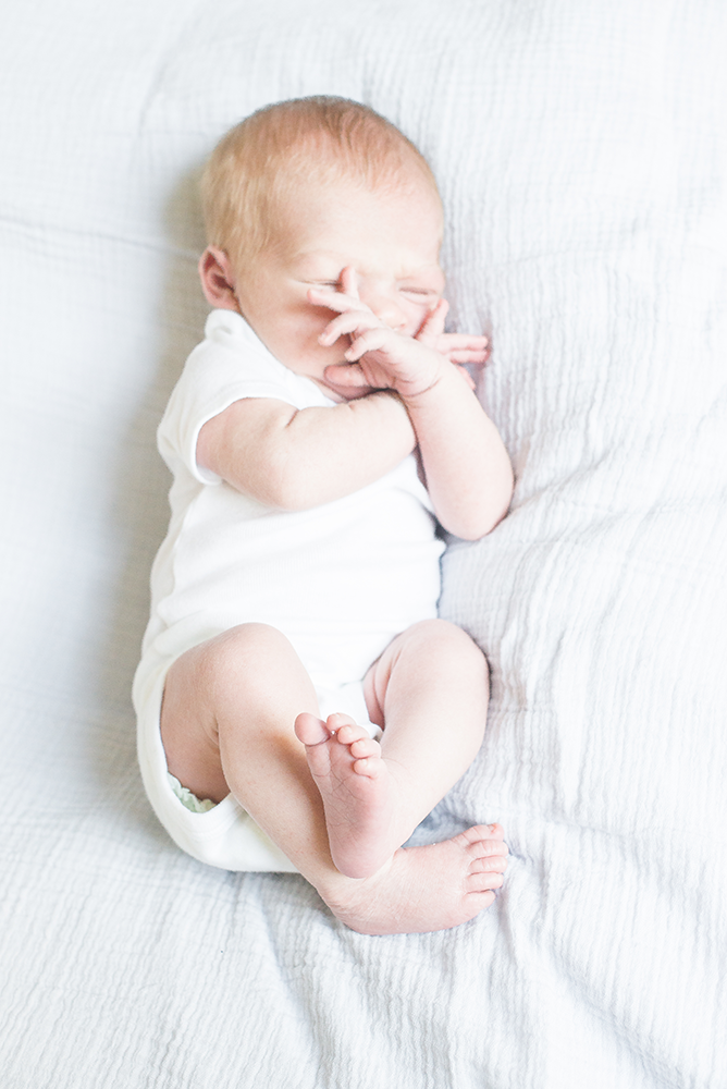 Colorado Newborn Photographer