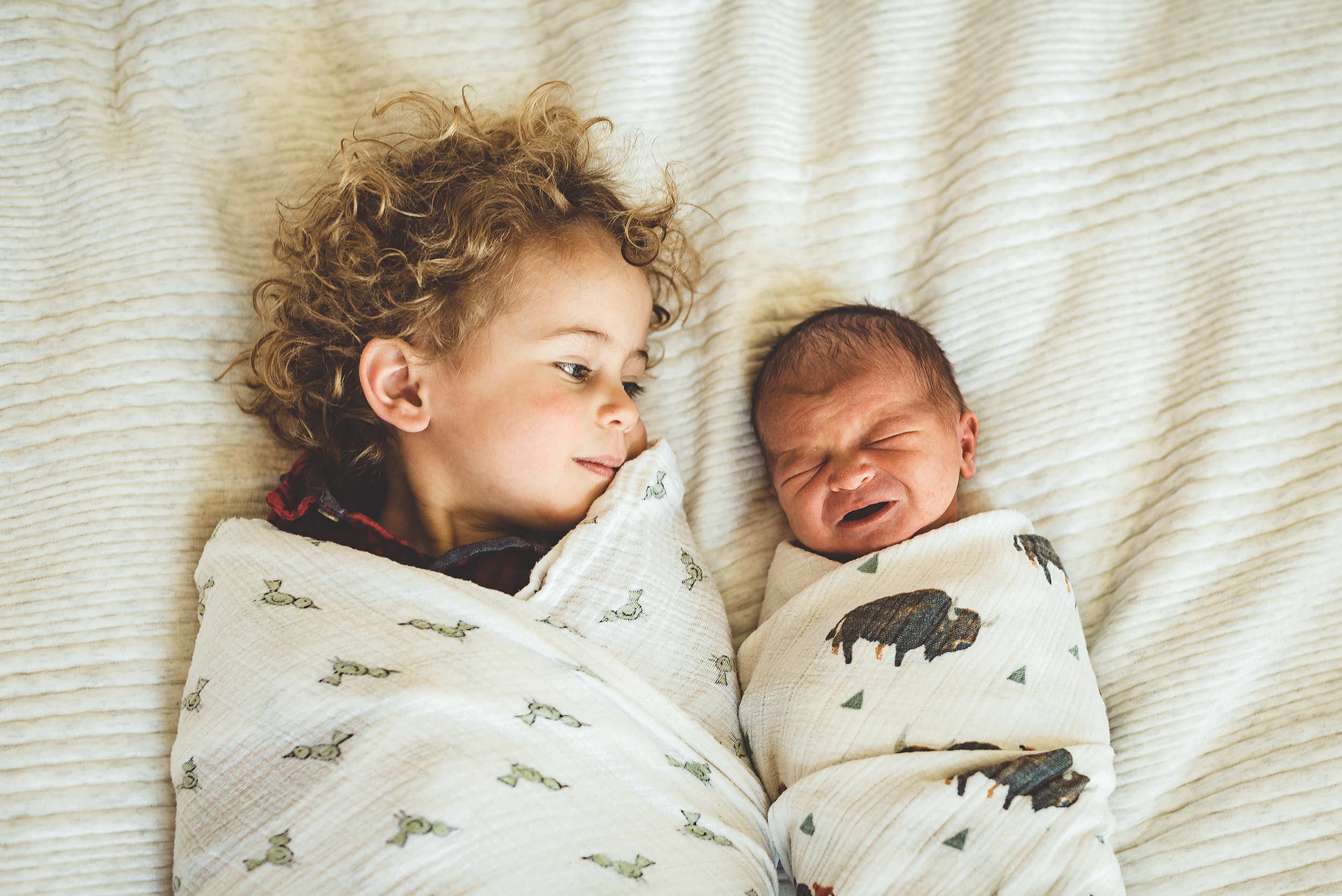 Denver Newborn Lifestyle Photographer