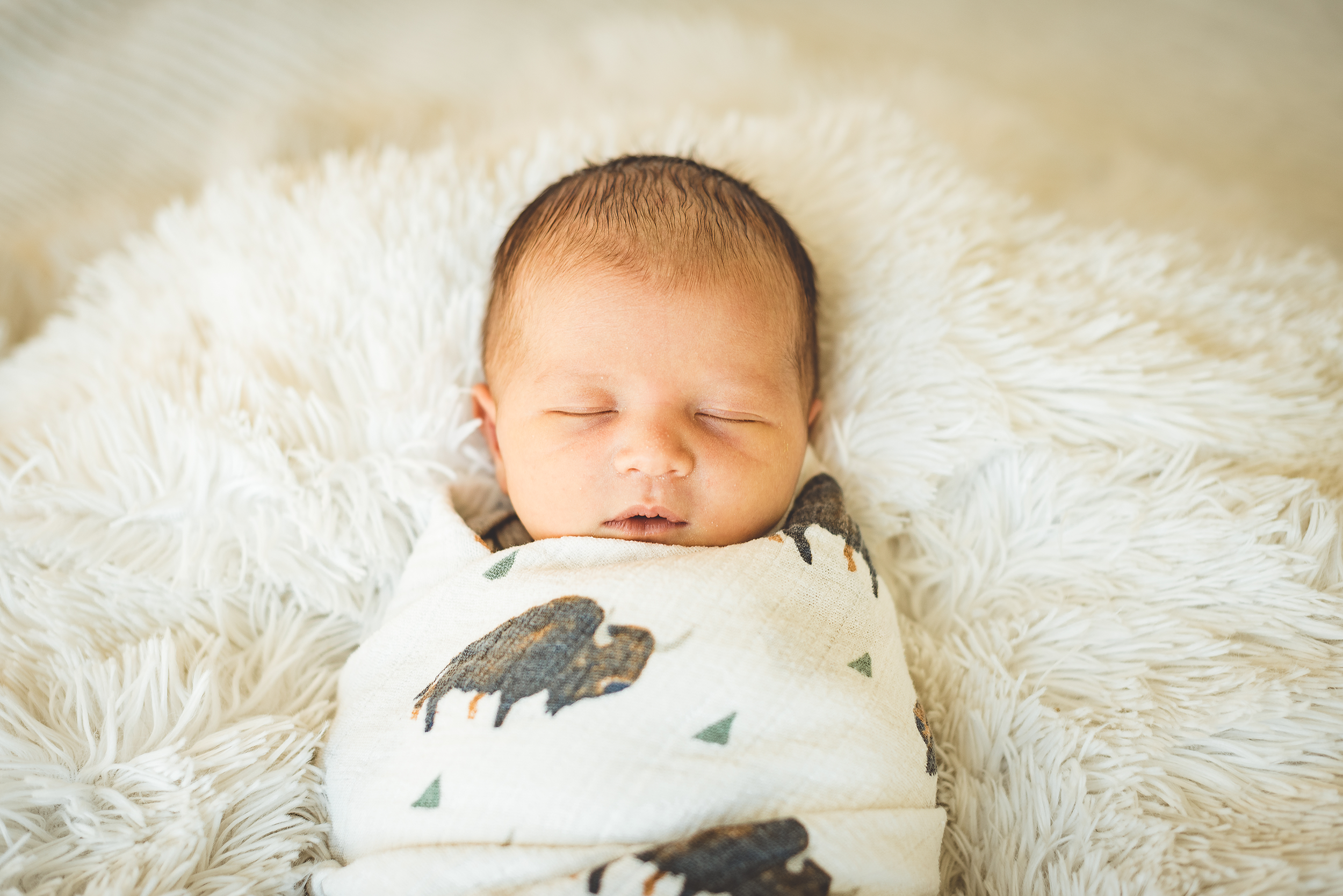 Denver Newborn Lifestyle Photographer