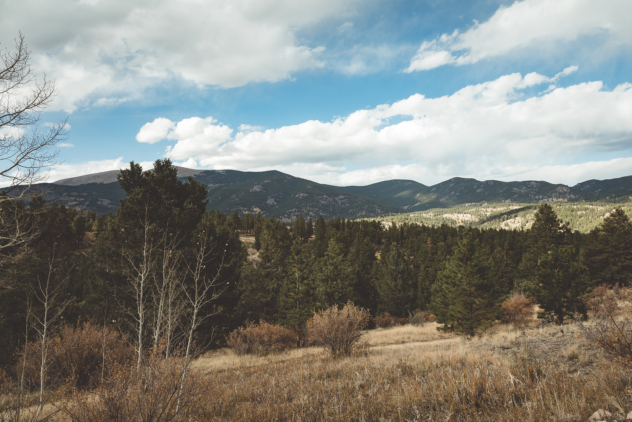 ColoradoWeddingLifestylePhotographer2.jpg