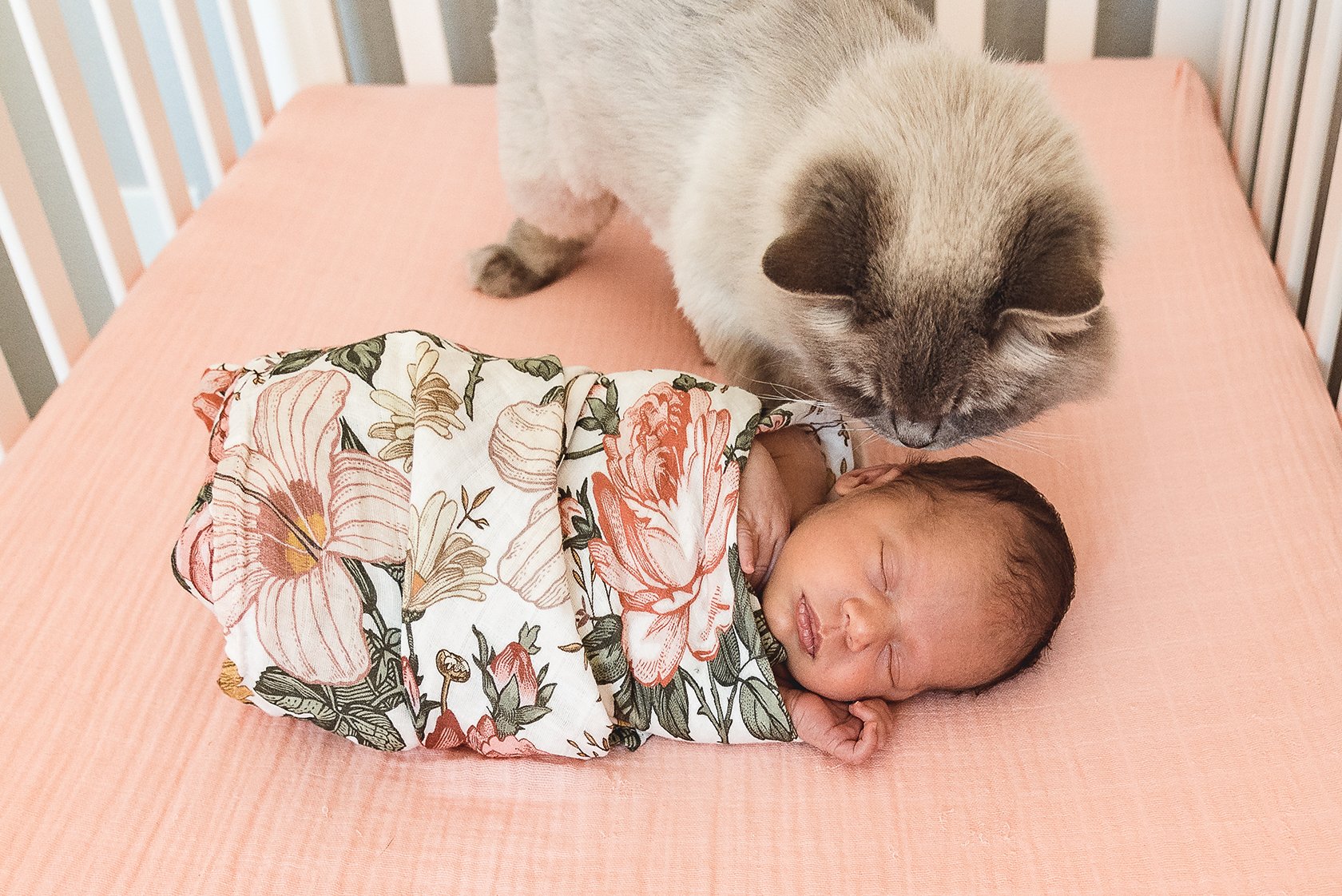 Denver, Colorado Newborn Lifestyle Photographer