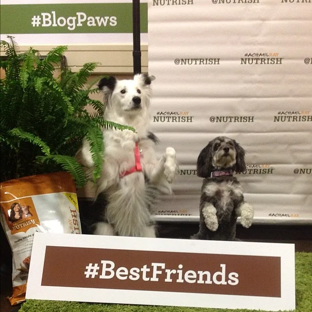 A Closer Look at "Earned" Social