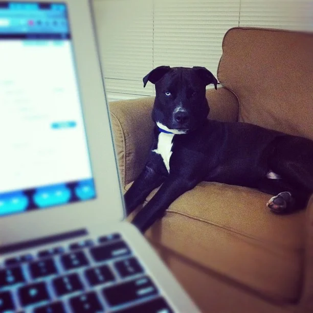 The Blurred Line Between Work and Home