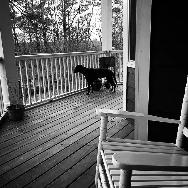 Screen Free Evenings