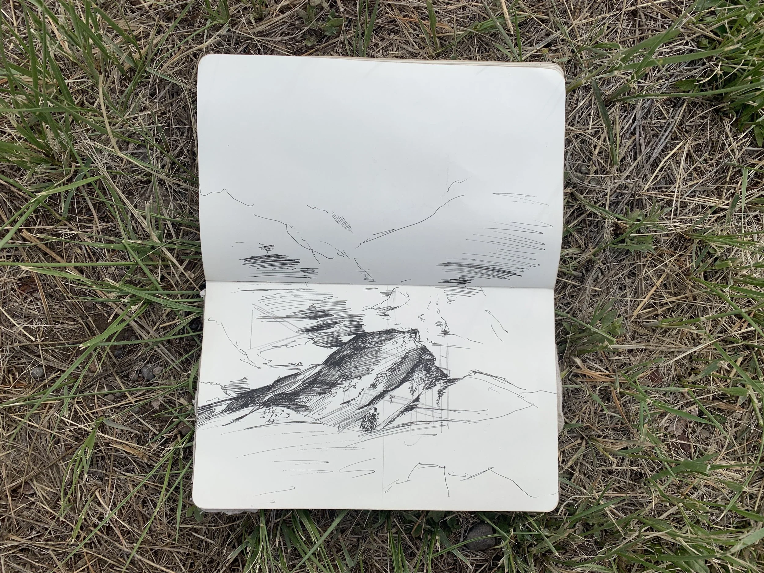 elephant rock, San Luis valley study
