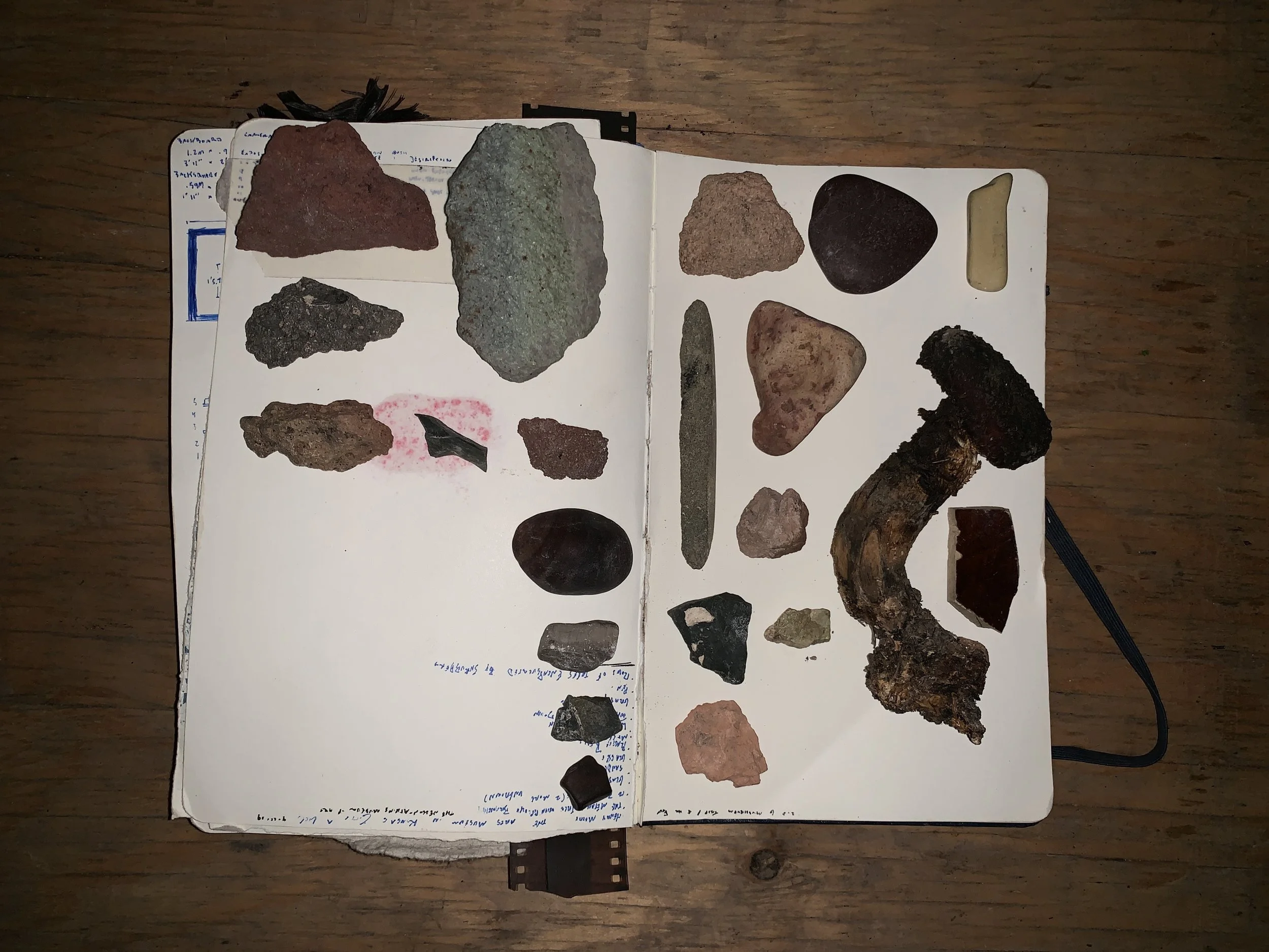 Collection of rocks and miscellaneous treasures from wester excursion