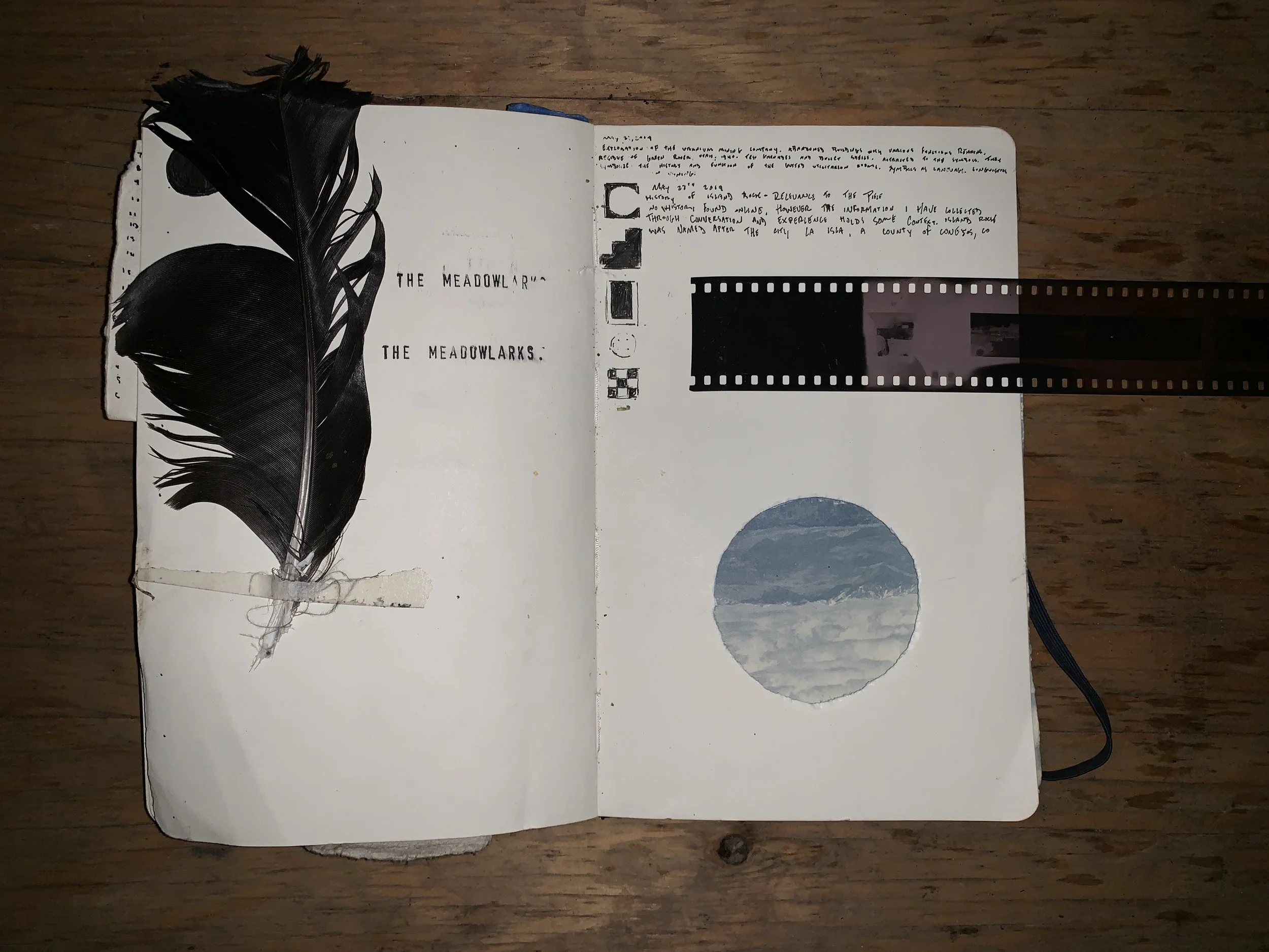 Fieldnotes/observations from western excursion