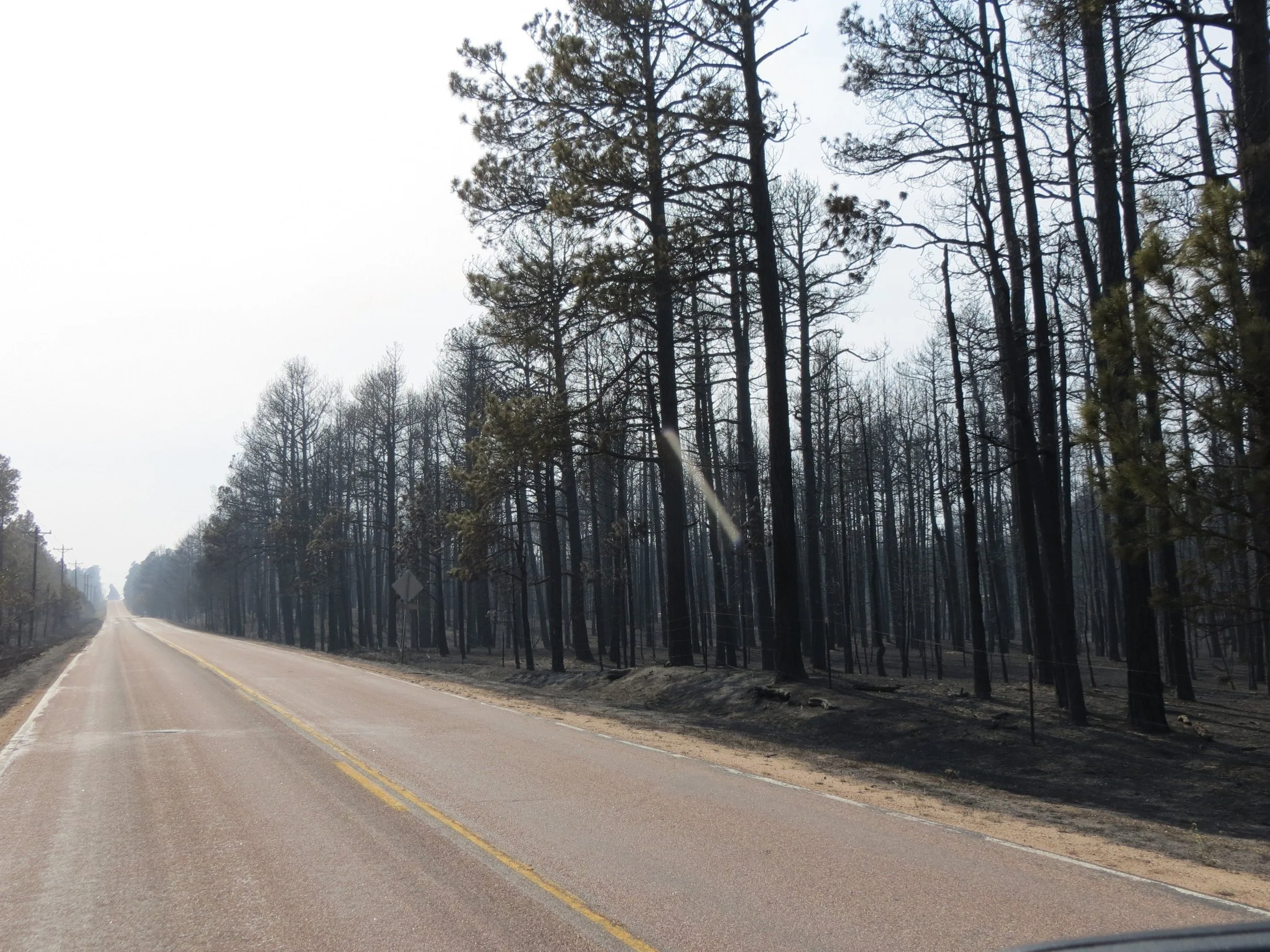 Black+Forest+Fire+at+Sec+16_June13_2013+014.jpg
