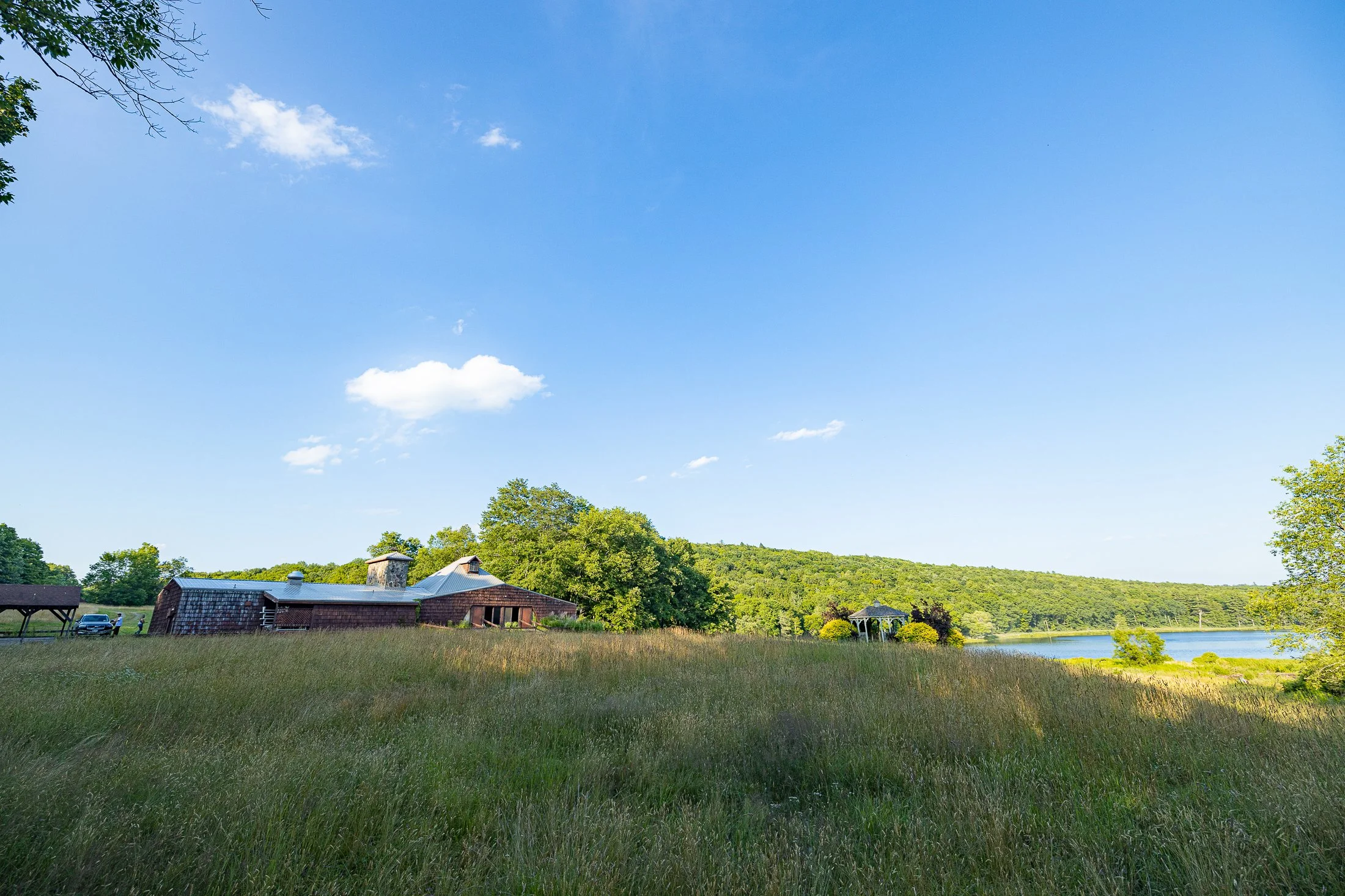 HoneyValley_102.jpg