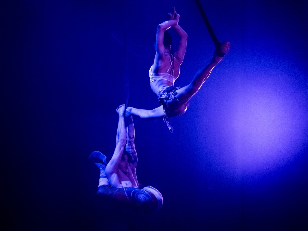 Hybrid Movement Company