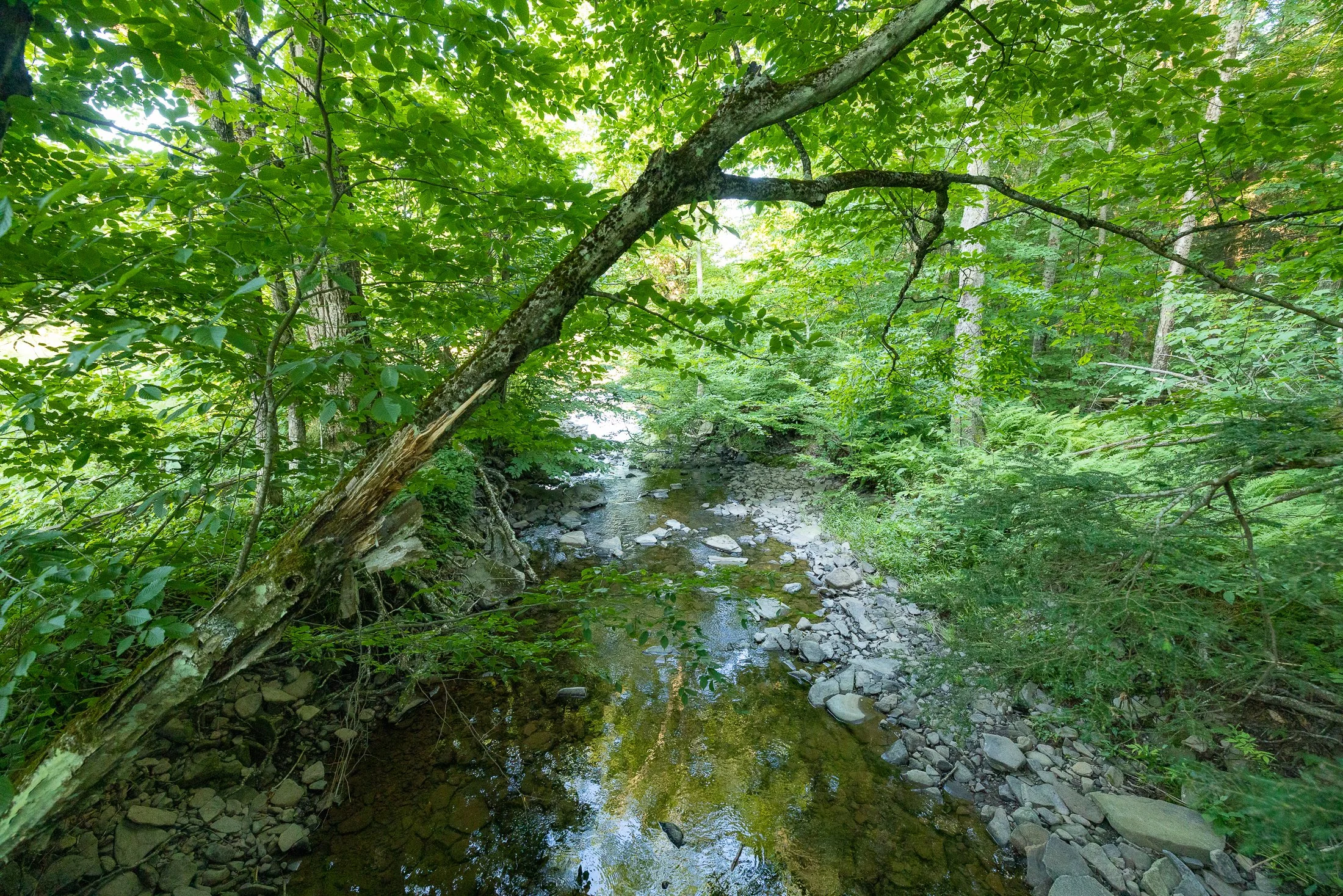 HoneyValley_105.jpg