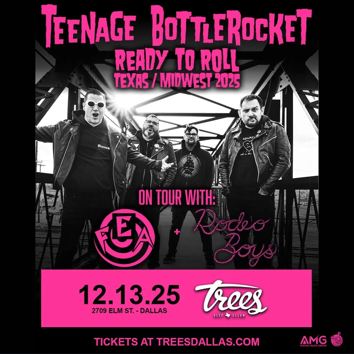 Teenage Bottlerocket