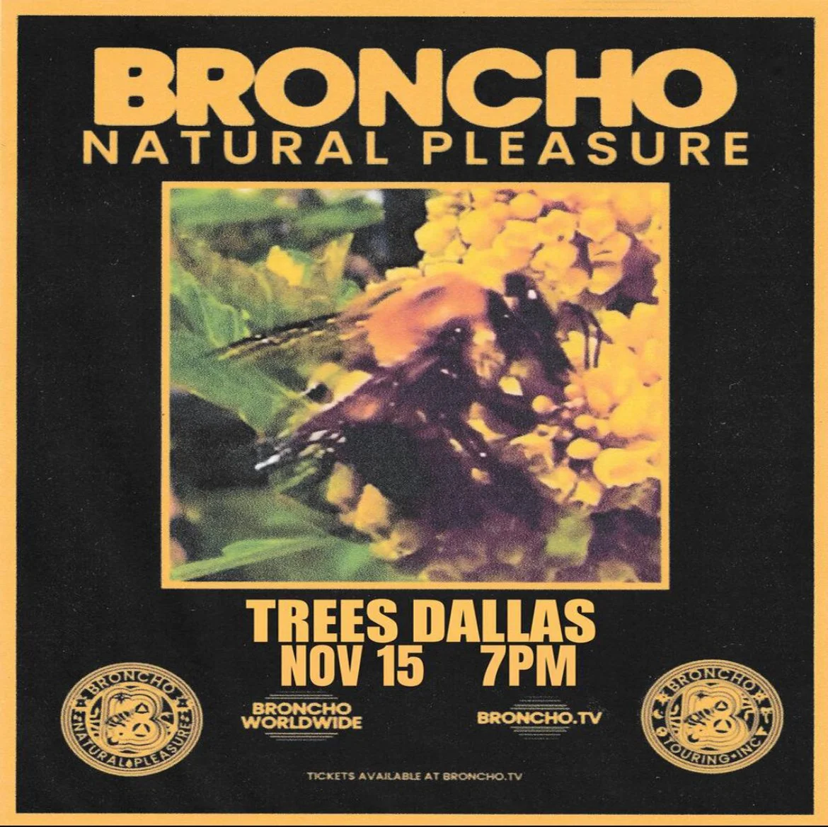 Broncho