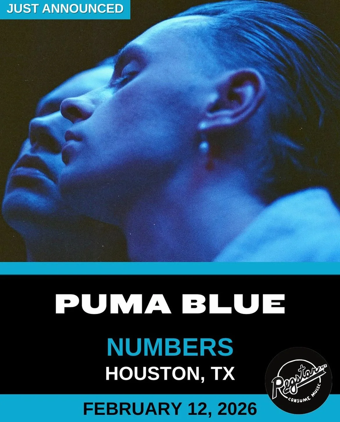 Puma Blue