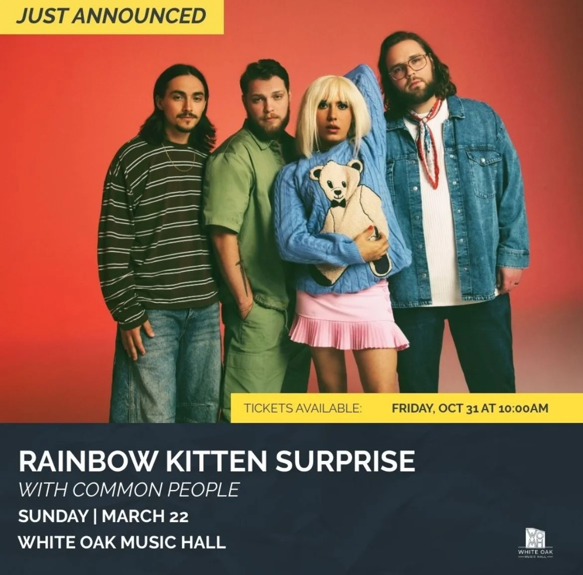 Rainbow Kitten Surprise