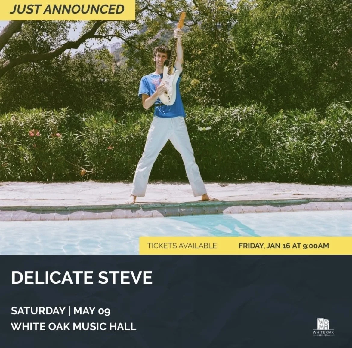 Delicate Steve