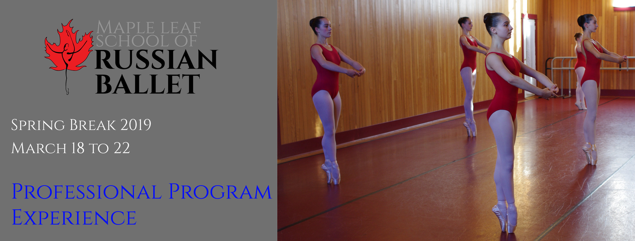 Professional Program Spring Experience SPring 2019-01.jpg