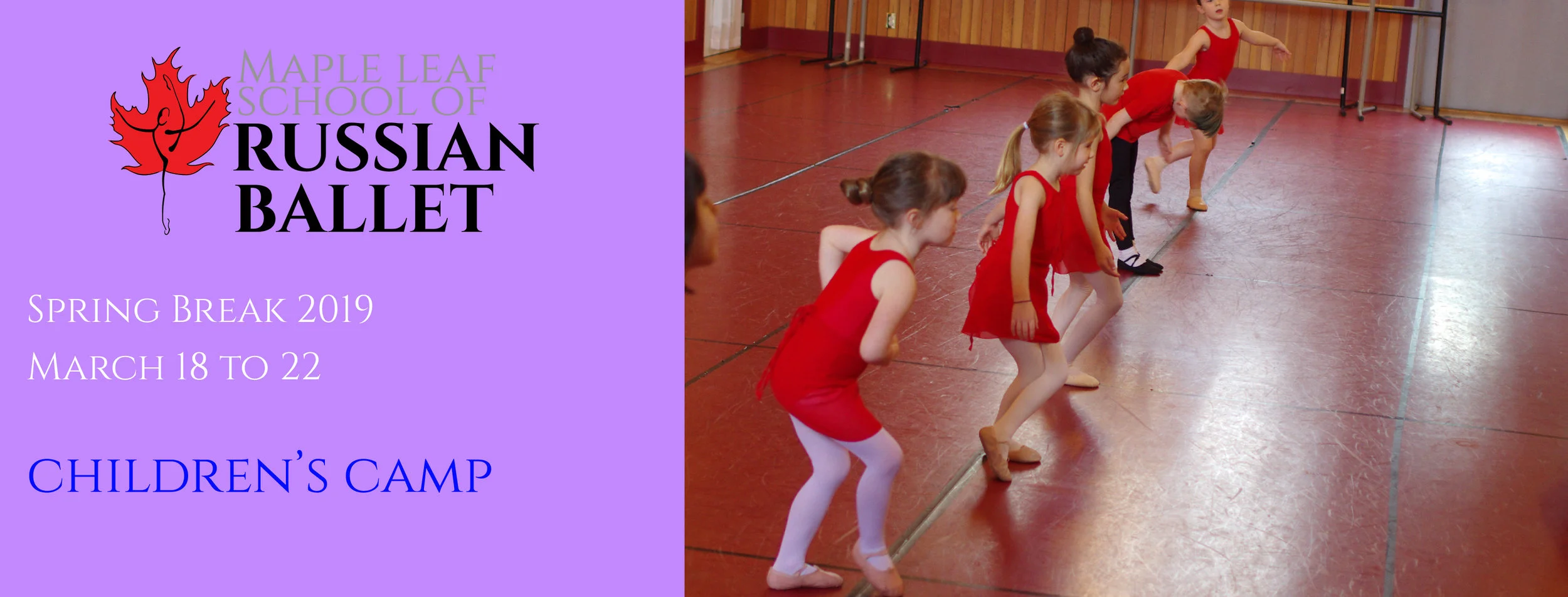 Spring Camp Header-01.jpg