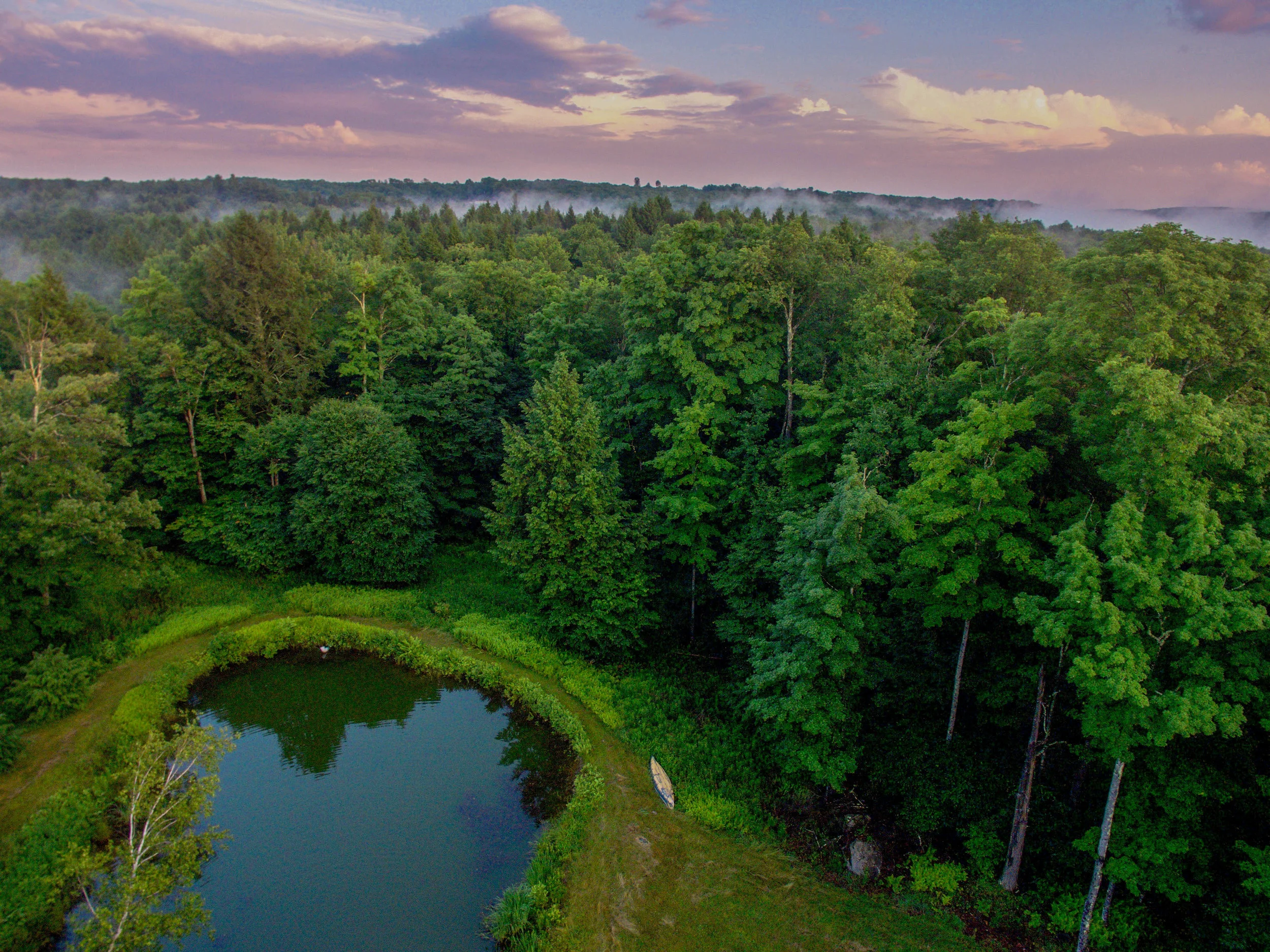 DJI_0010.jpg