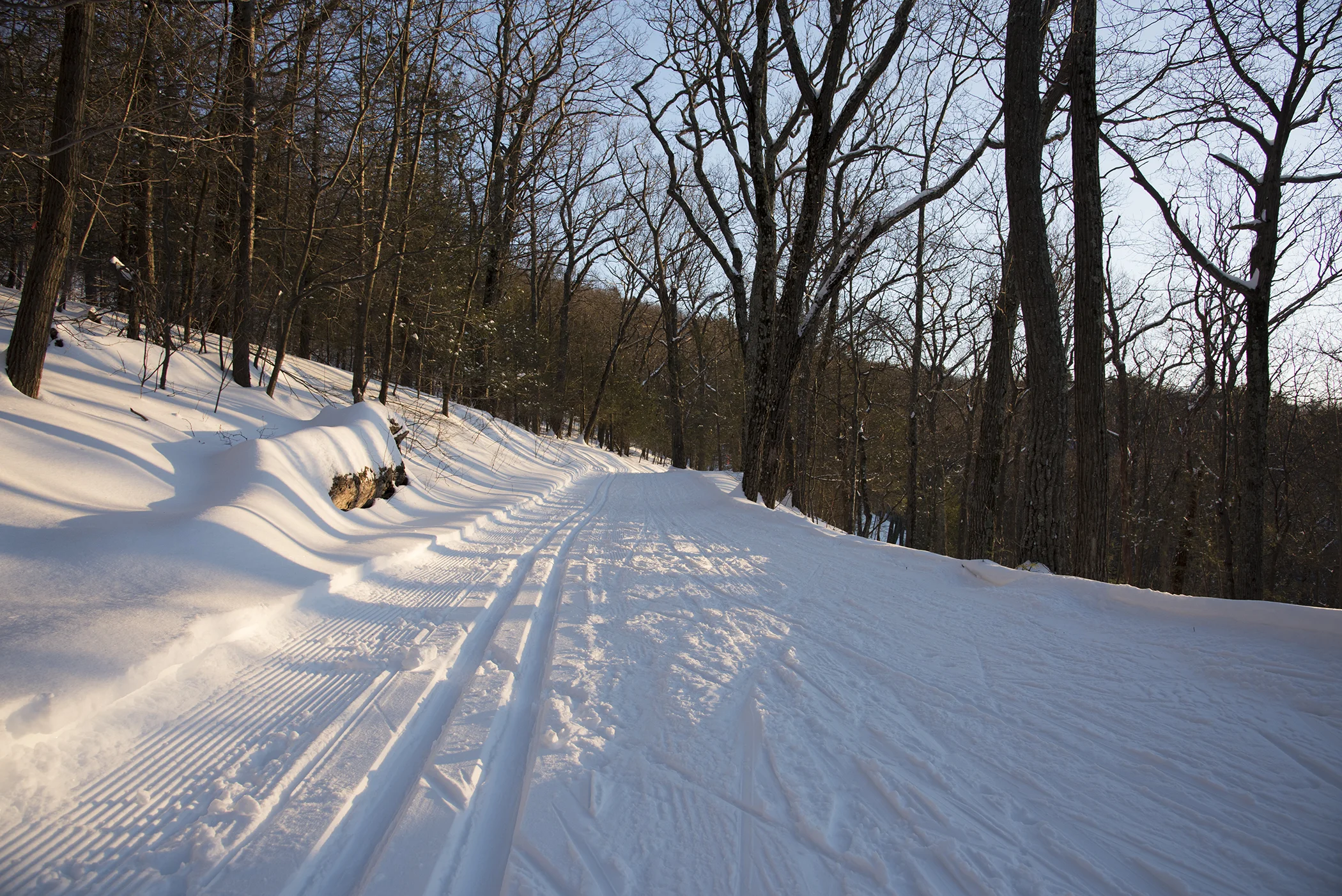DSC_0635.jpg