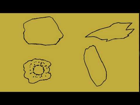 Rock Voices