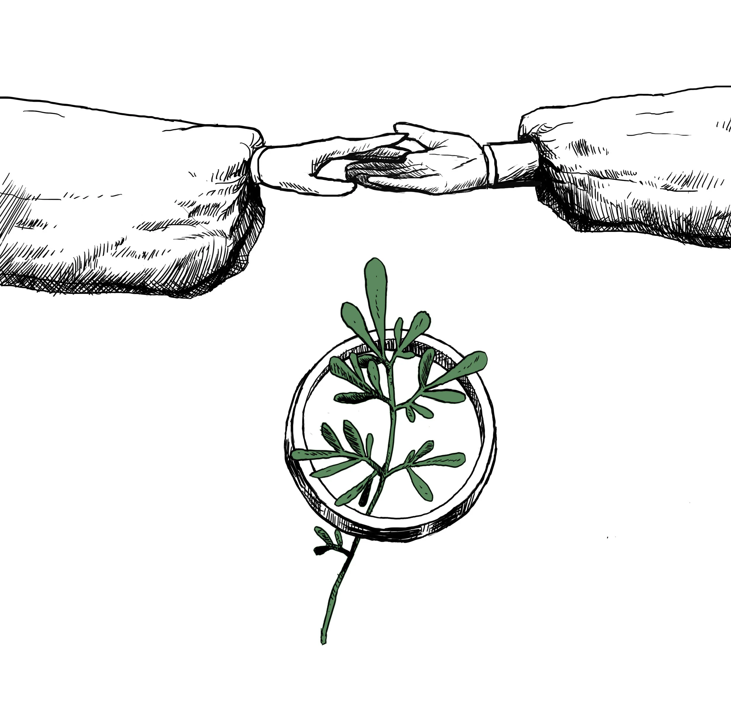posterassets.jpg