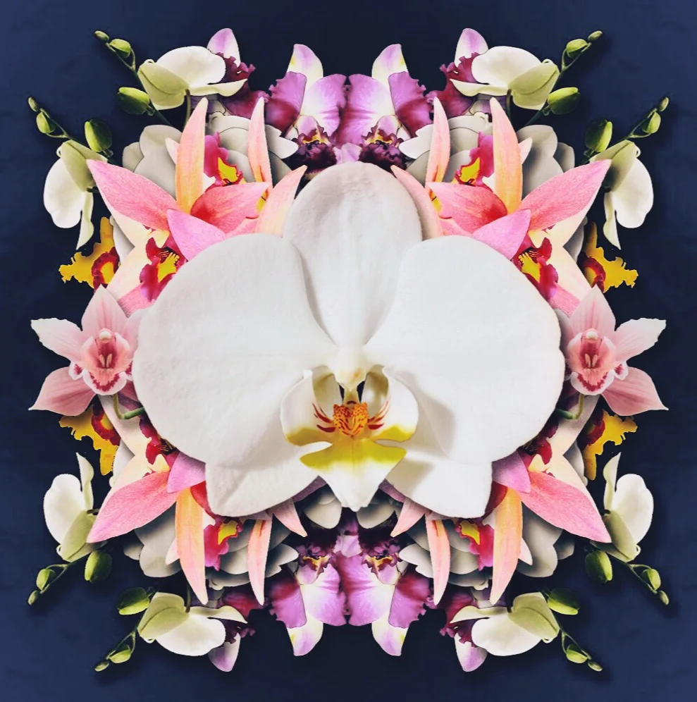  Created: October 2016 