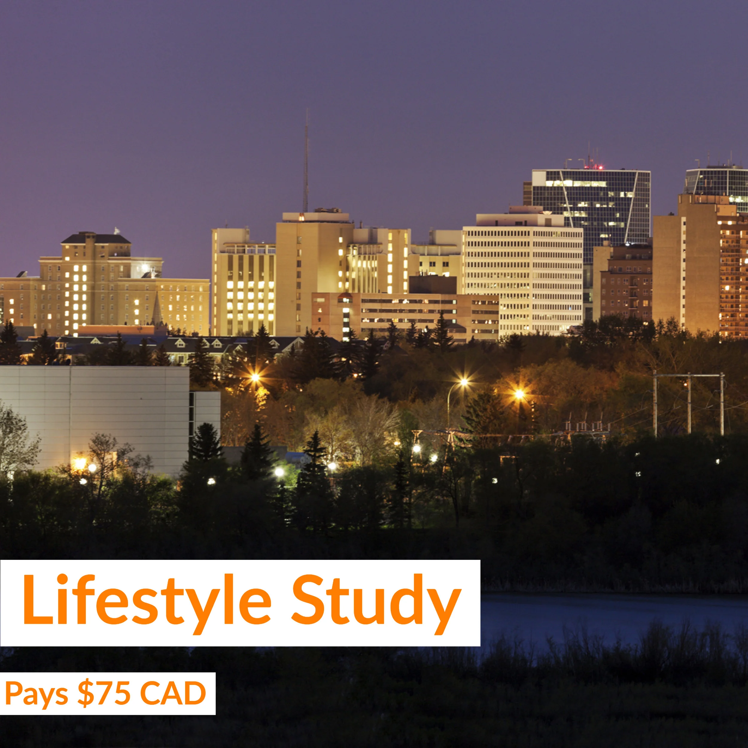 Gold & Gold Lifestyle Study.jpg