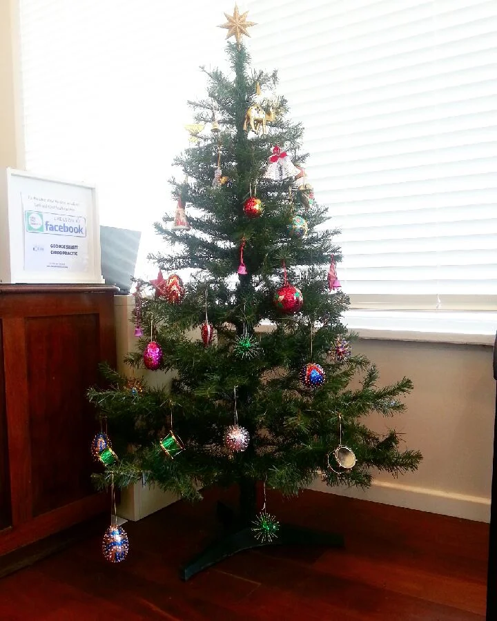 Merry Christmas and a Happy New Year... 