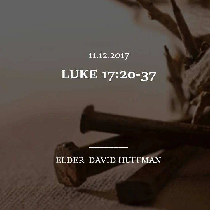 Luke.jpg