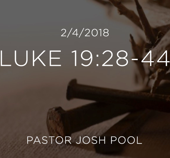 Luke2-4.png