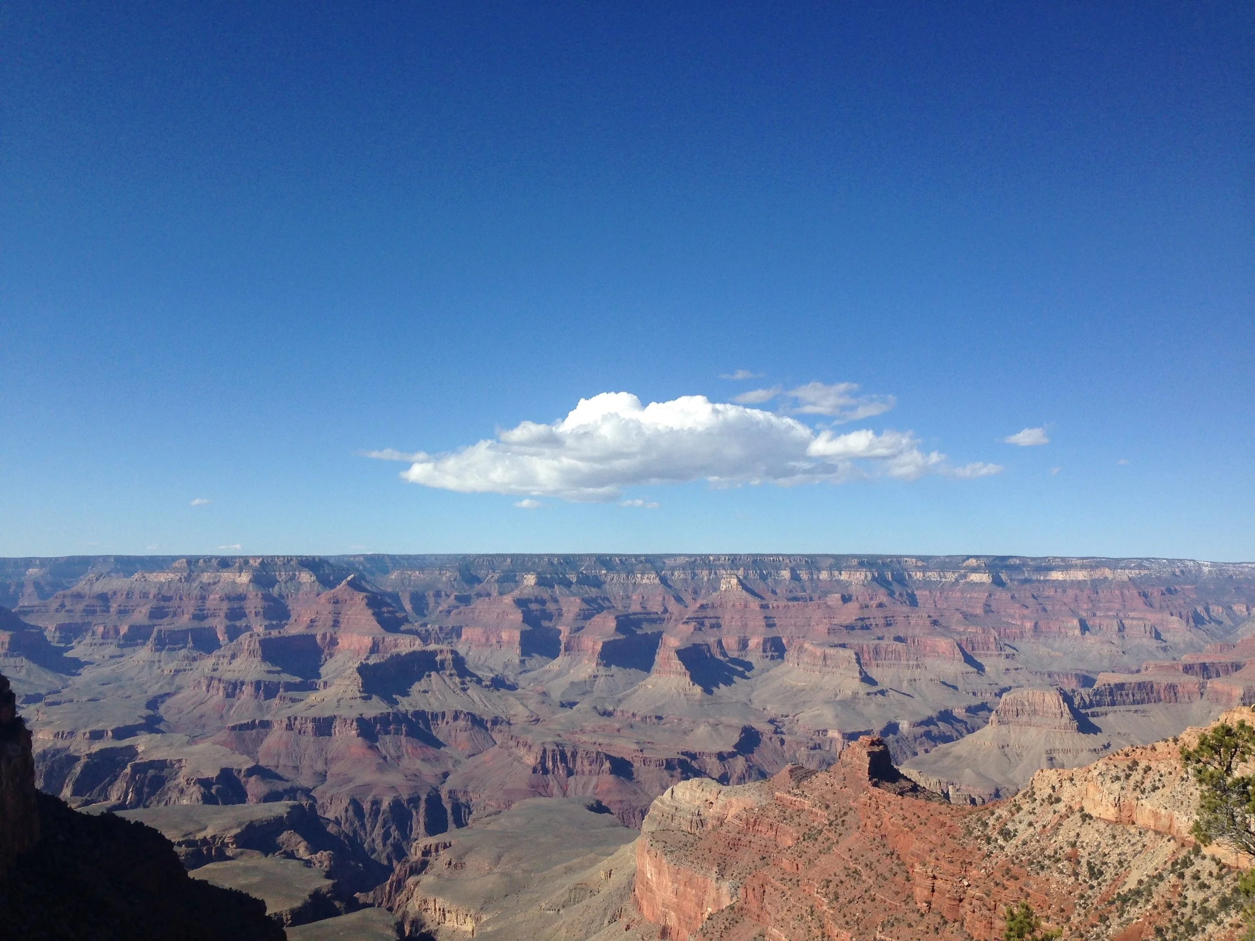 IMG_4975_2.jpg