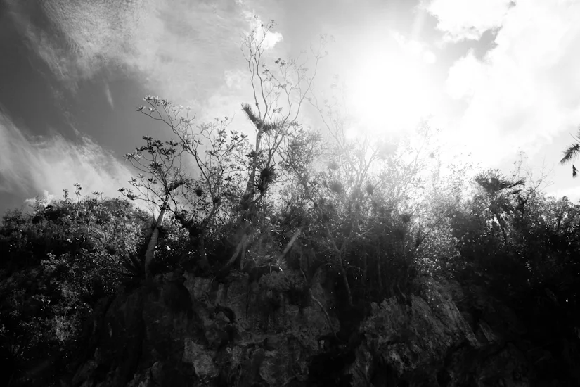 untitled | 2011 