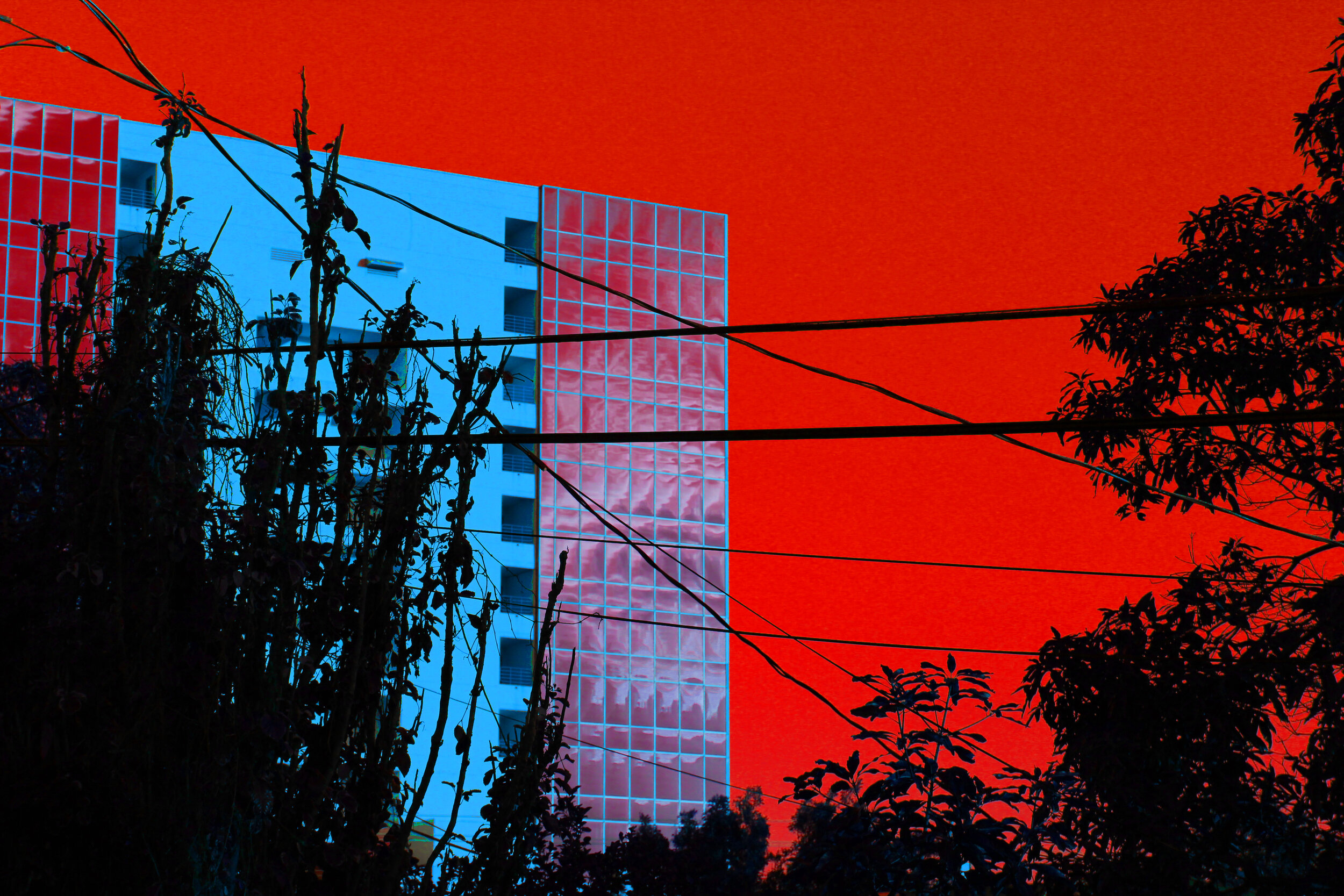 AP 2D Portfolio / Digital Photograph / 12th Grade