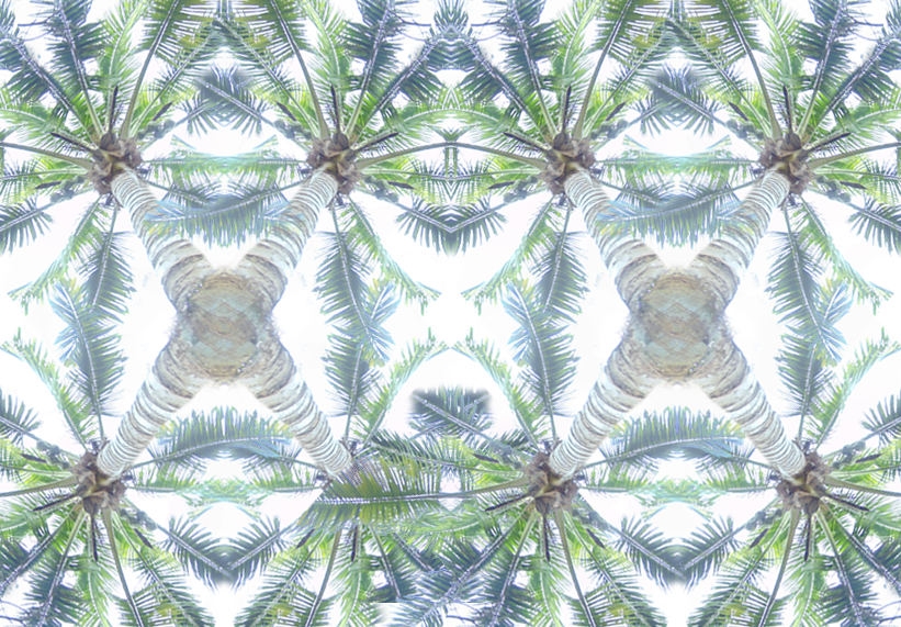 AP 2D Portfolio / Digital Photo Collage / 11th Grade