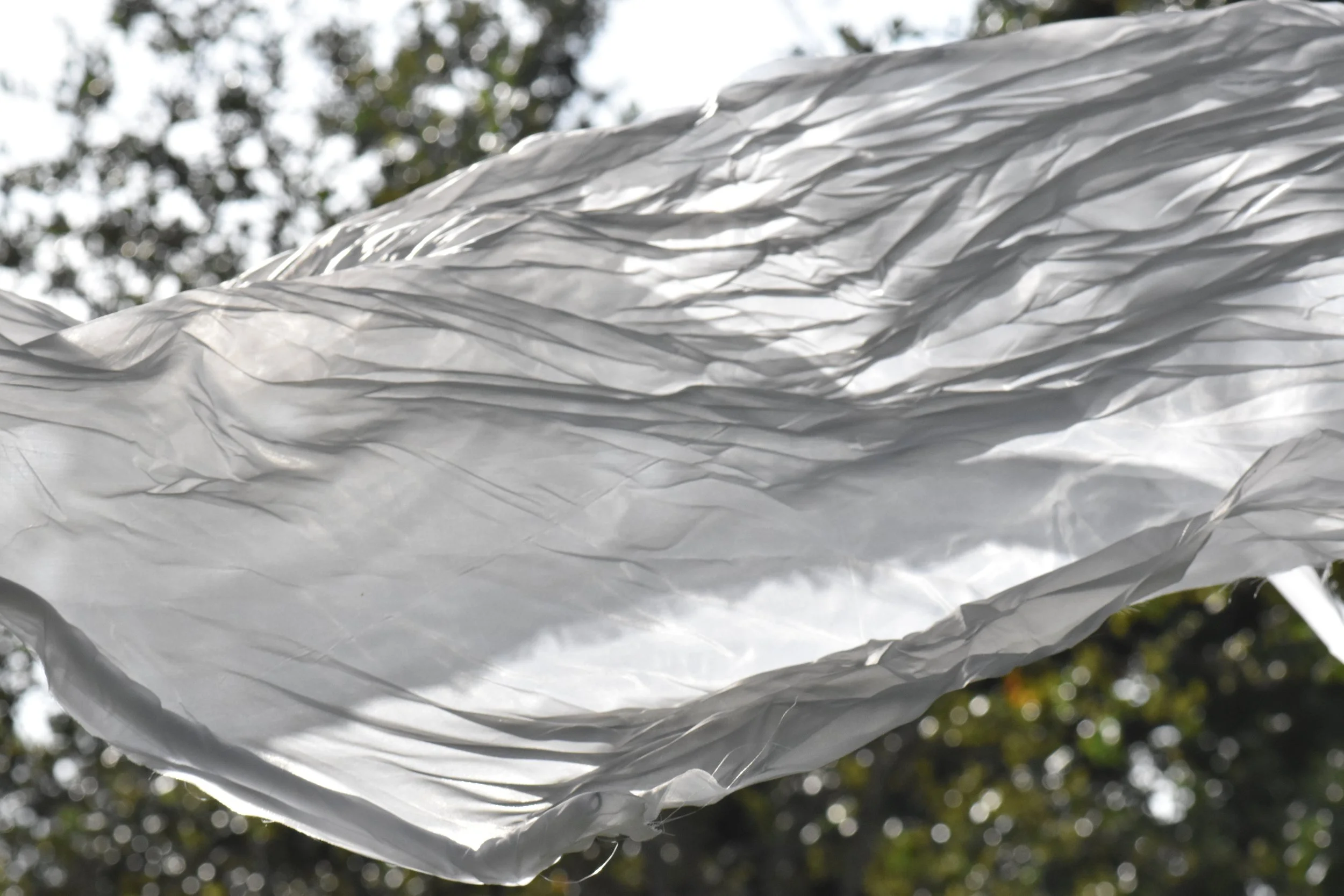 Creative Photography 1 / 9th Grade