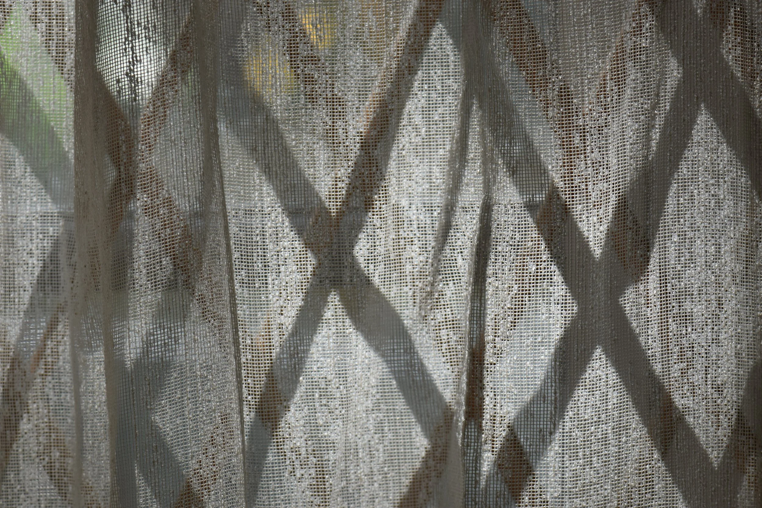 Creative Photography 1 / 9th Grade