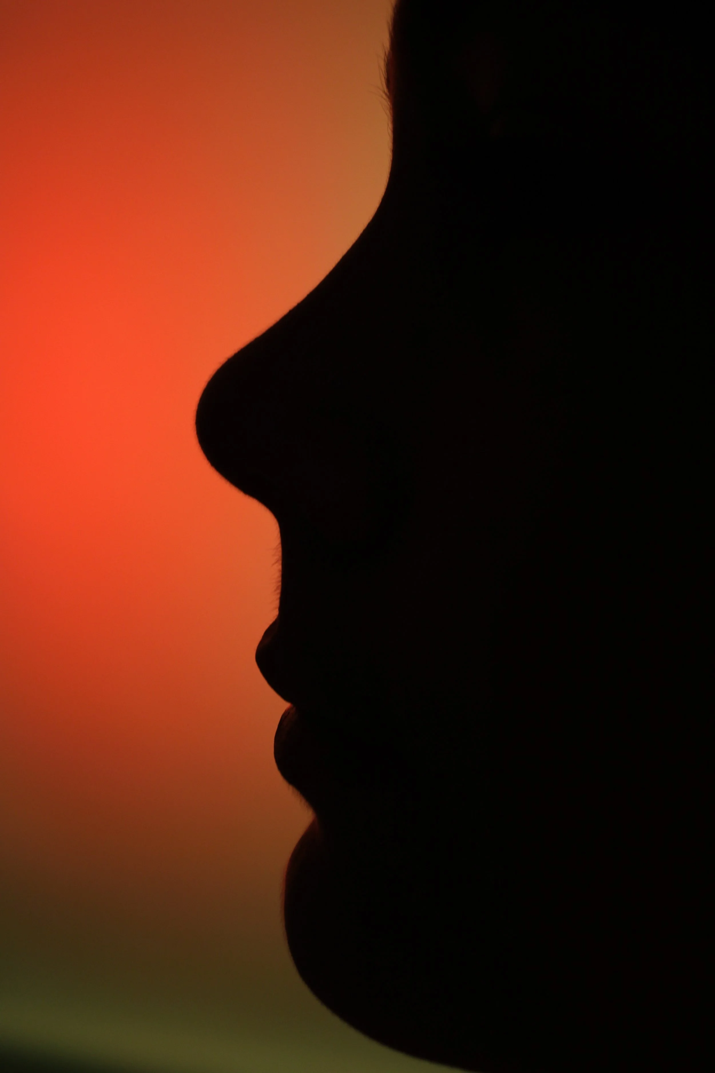 Creative Photography 1 / 9th Grade