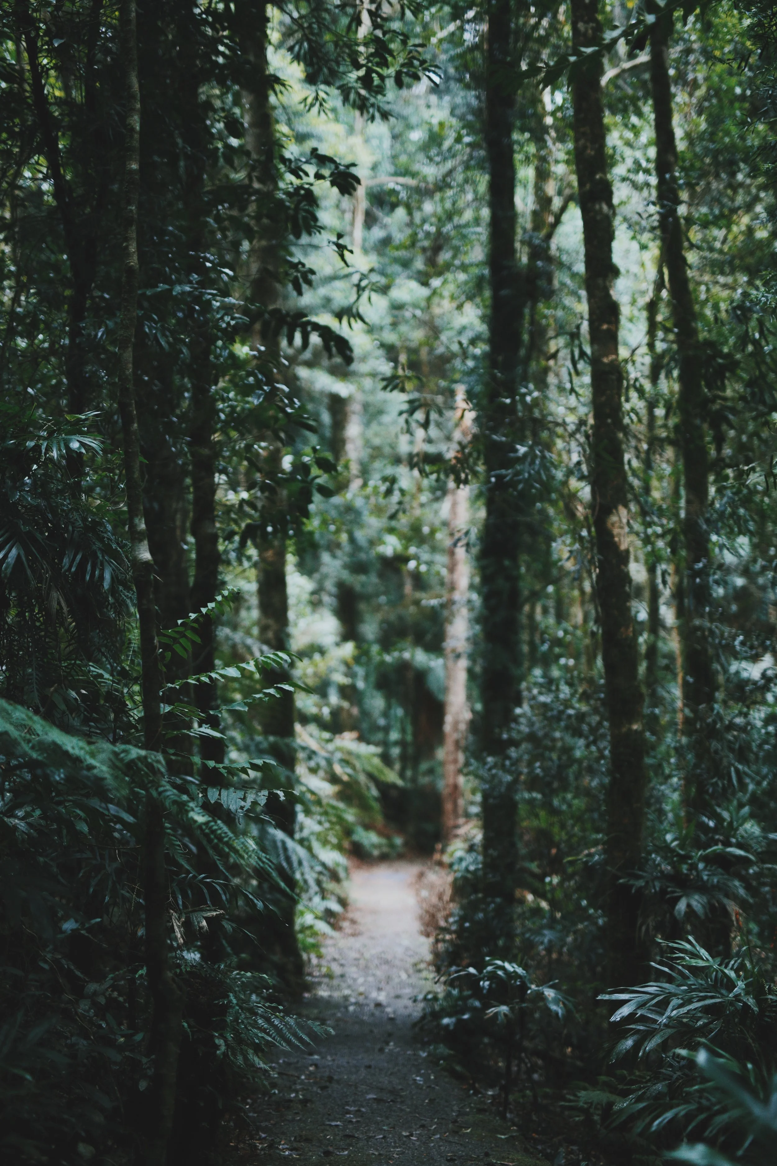 bobby-hendry-300810-unsplash.jpg